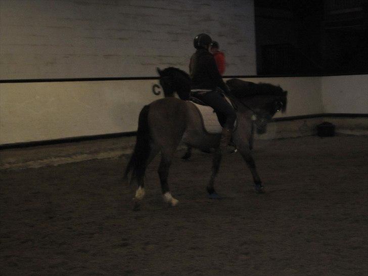 Billeder til andre :D  billede 28