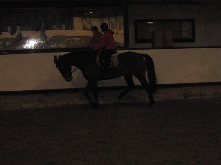 Billeder til andre :D  billede 29