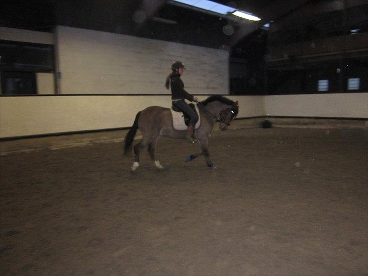 Billeder til andre :D  billede 30