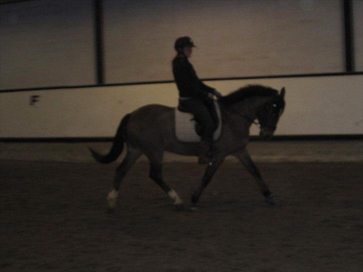 Billeder til andre :D  billede 31