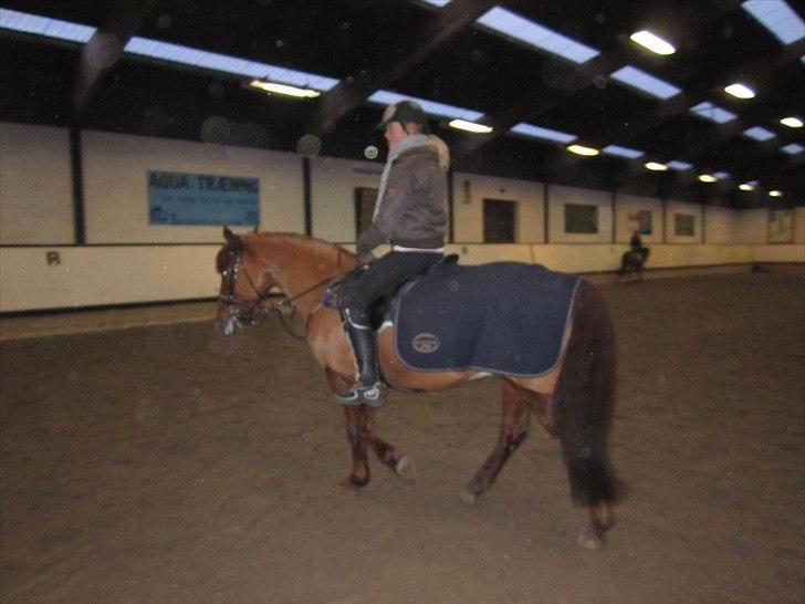 Billeder til andre :D  billede 36