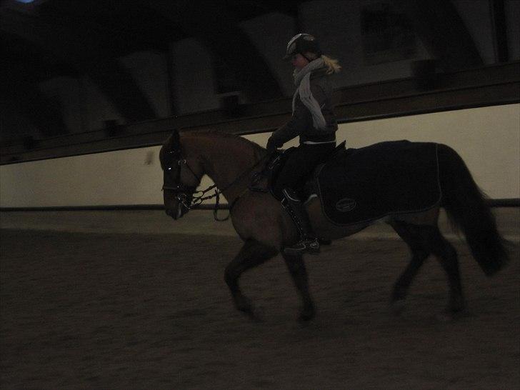 Billeder til andre :D  billede 41
