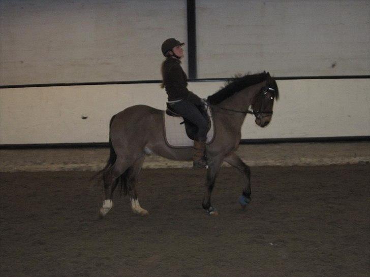 Billeder til andre :D  billede 52