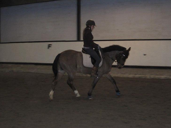 Billeder til andre :D  billede 54
