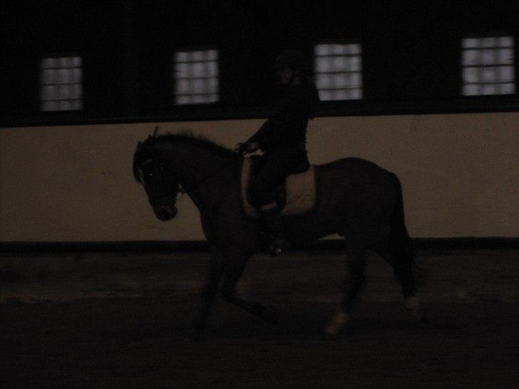 Billeder til andre :D  billede 58