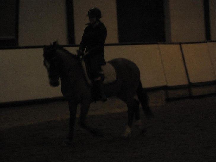 Billeder til andre :D  billede 59