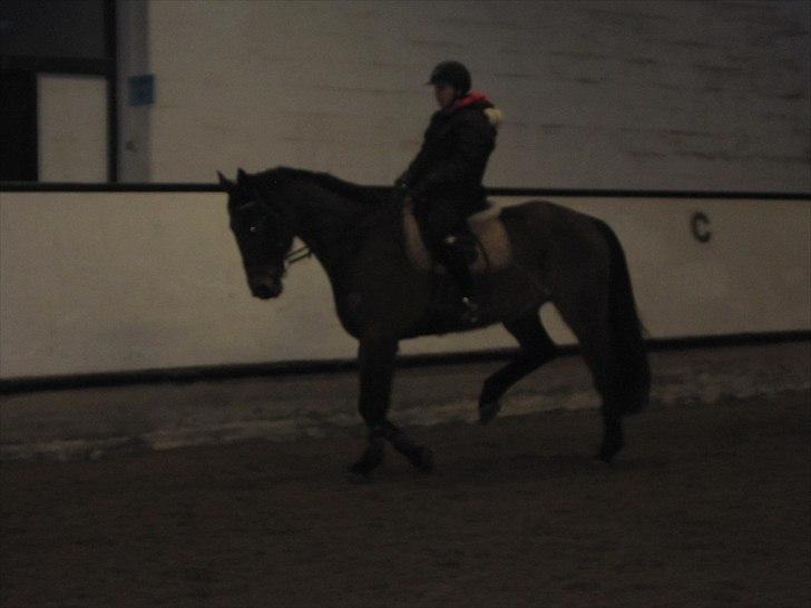 Billeder til andre :D  billede 61