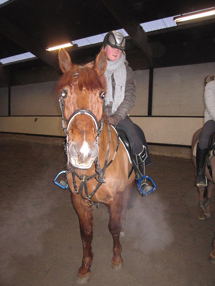 Billeder til andre :D  billede 62