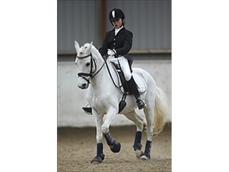 {{currentPhoto.altText}} billede {{currentPhoto.number}}