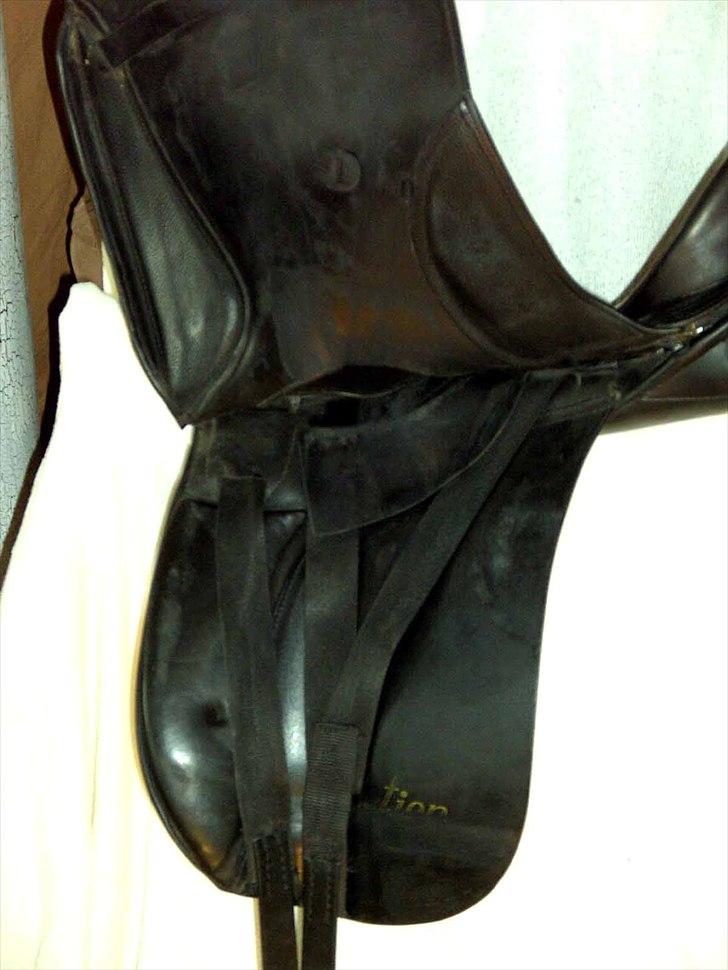 Kieffer action billede 9