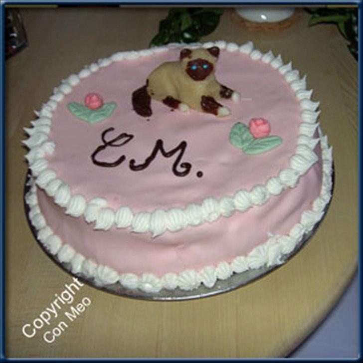 Kager - Mit første eksperiment med at lave lagkage... billede 3