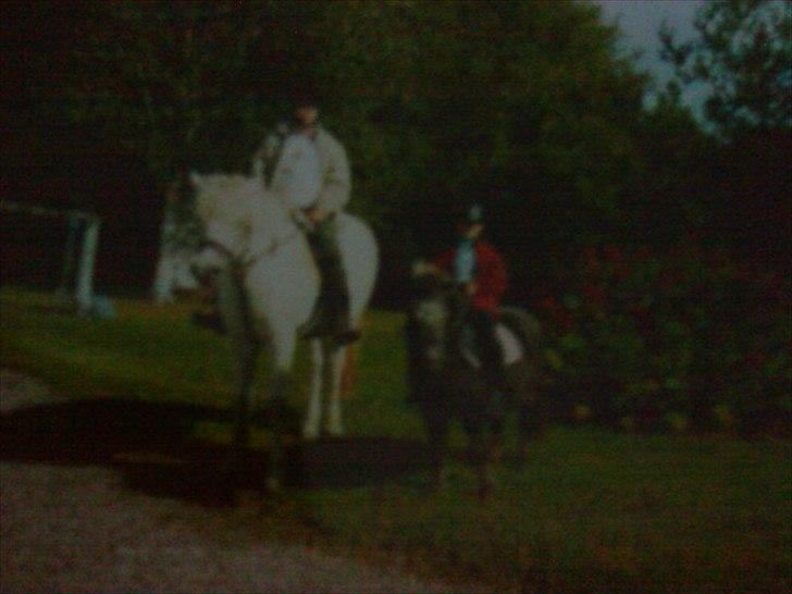 Min første pony Beetoven - Mig på bassen og mor på felina (-; billede 4