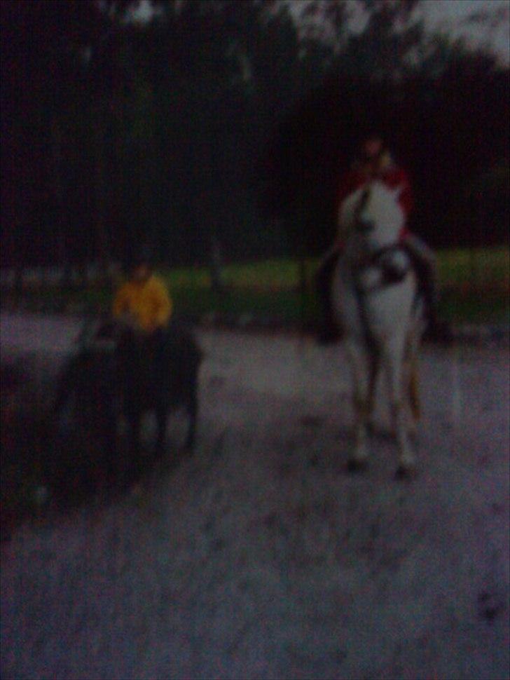 Min første pony Beetoven - Mor og mig billede 10
