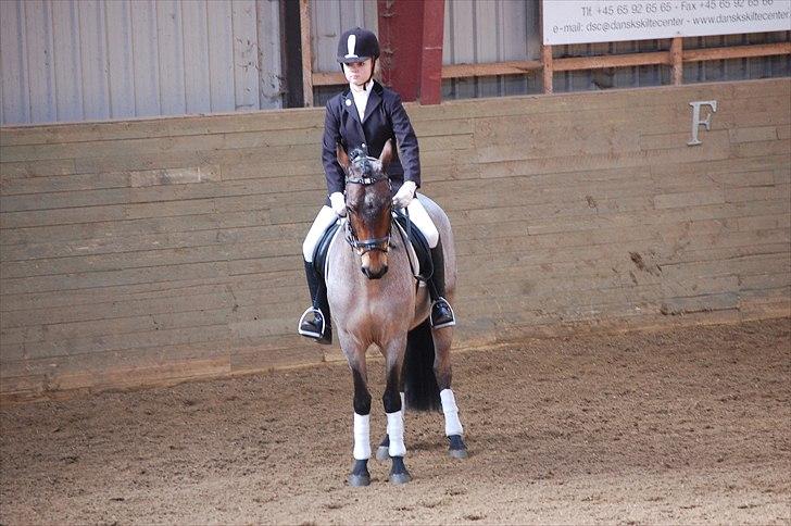 Klub Cup, Dalumgård Rideklub billede 1