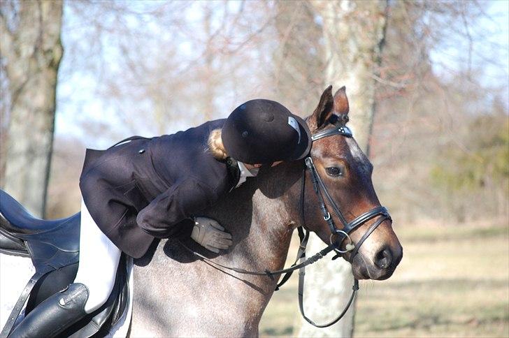 Klub Cup, Dalumgård Rideklub billede 17