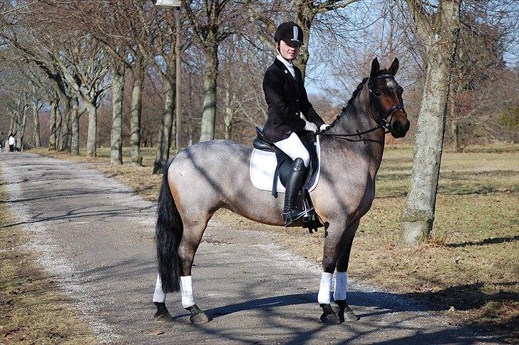 Klub Cup, Dalumgård Rideklub billede 18