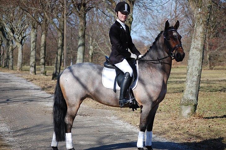 Klub Cup, Dalumgård Rideklub billede 19