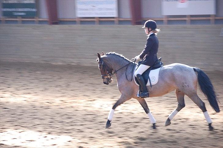 Klub Cup, Dalumgård Rideklub billede 14