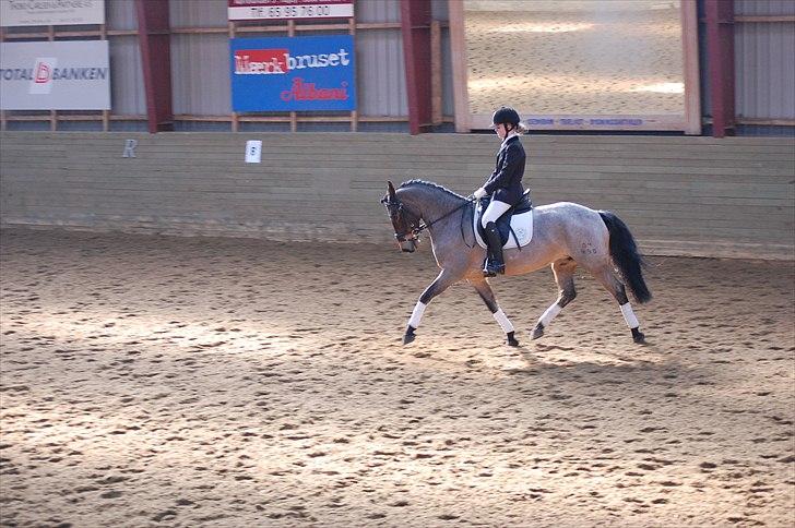 Klub Cup, Dalumgård Rideklub billede 13