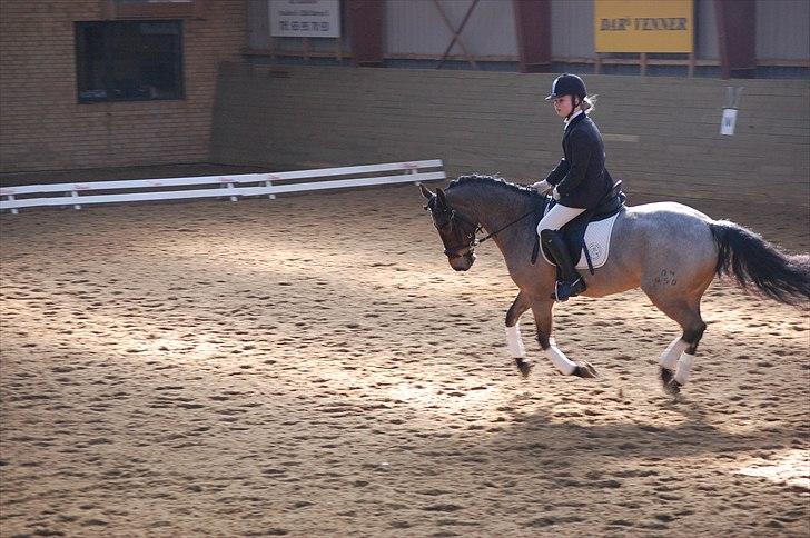 Klub Cup, Dalumgård Rideklub billede 12