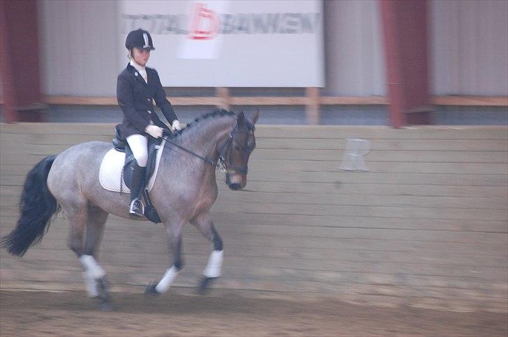 Klub Cup, Dalumgård Rideklub billede 11