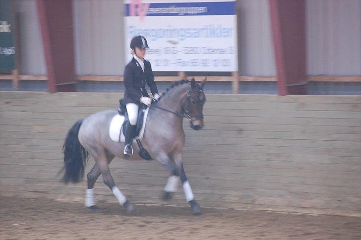Klub Cup, Dalumgård Rideklub billede 10