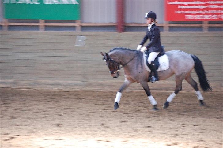 Klub Cup, Dalumgård Rideklub billede 8