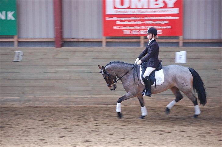 Klub Cup, Dalumgård Rideklub billede 7