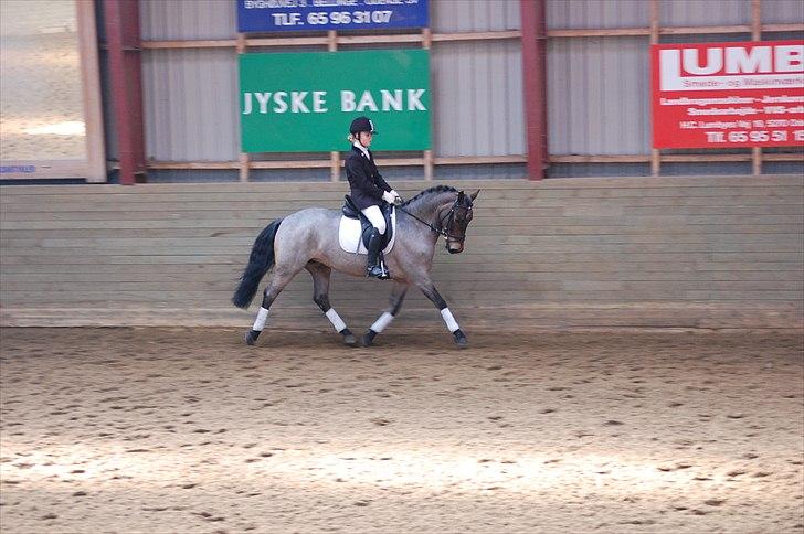 Klub Cup, Dalumgård Rideklub billede 5