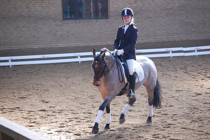 Klub Cup, Dalumgård Rideklub billede 4