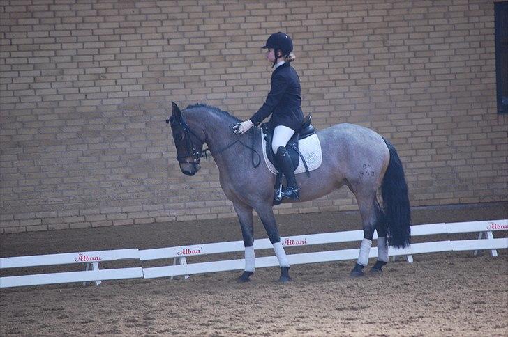 Klub Cup, Dalumgård Rideklub billede 2