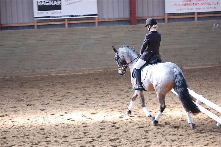 Klub Cup, Dalumgård Rideklub billede 3