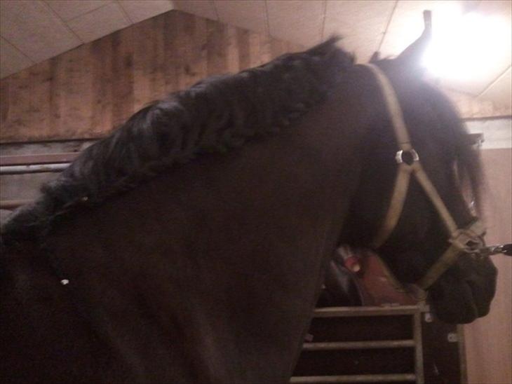 {{currentPhoto.altText}} billede {{currentPhoto.number}}