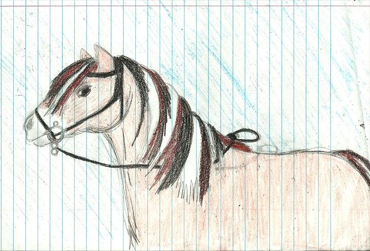 Tegninger :D   - Skulle ligne Nanok Romeo :) Tegnet onsdag den 9. marts 2011 billede 401