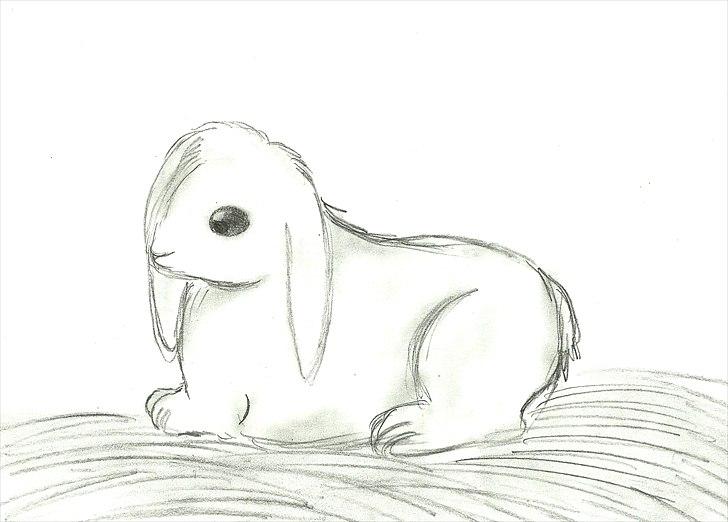 Tegninger :D   - Tegnet onsdag den 9. februar 2011 billede 402