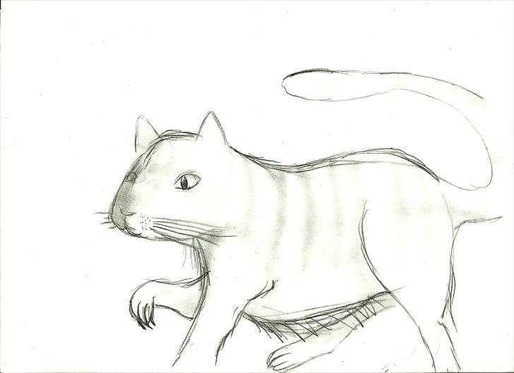 Tegninger :D   - Tegnet onsdag den 9. februar 2011 billede 404