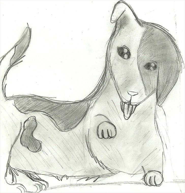 Tegninger :D   - Gaaaal en hjernedød hund oO xD Tegnet onsdag den 9. februar 2011 billede 405