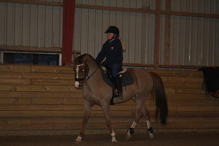 Lysthøjgård<3 billede 1