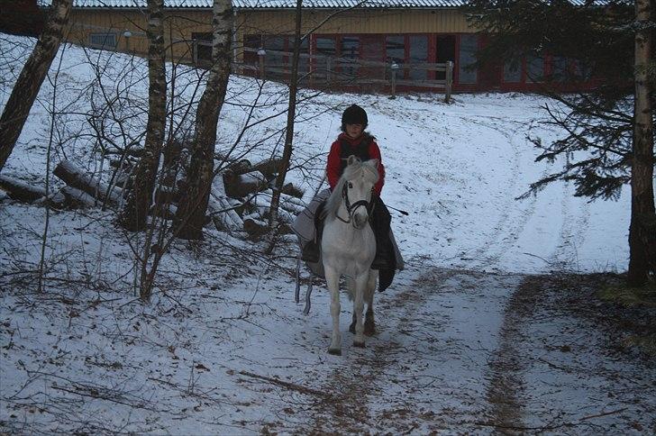 Lysthøjgård<3 billede 3