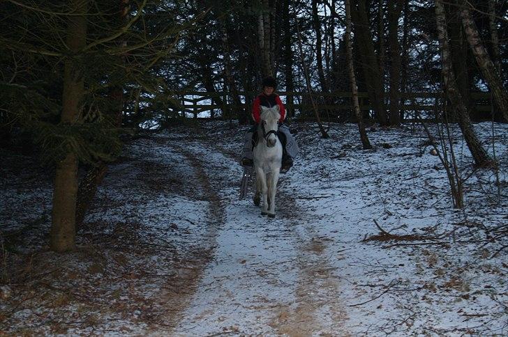 Lysthøjgård<3 billede 5