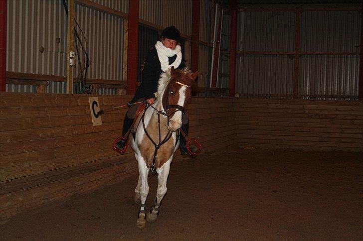 Lysthøjgård<3 billede 6