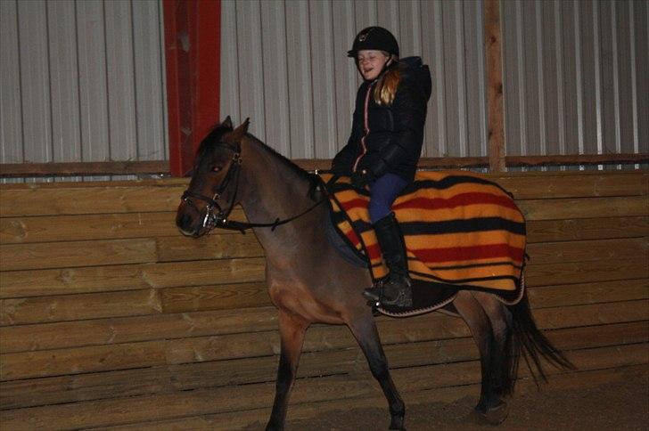 Lysthøjgård<3 billede 7