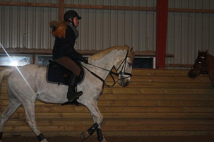 Lysthøjgård<3 billede 8