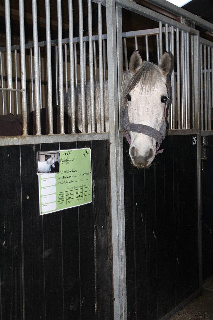 Lysthøjgård<3 billede 9