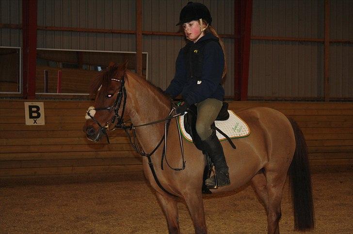 Lysthøjgård<3 billede 11