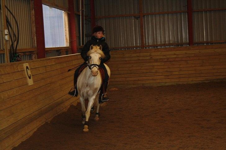 Lysthøjgård<3 billede 12