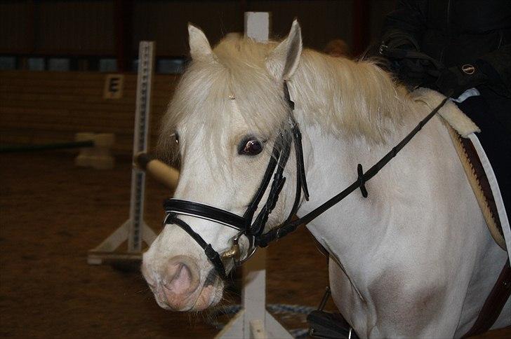 Lysthøjgård<3 billede 13