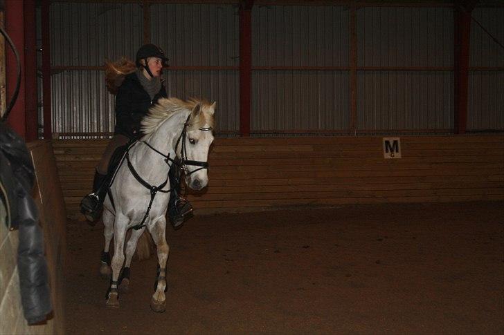 Lysthøjgård<3 billede 14