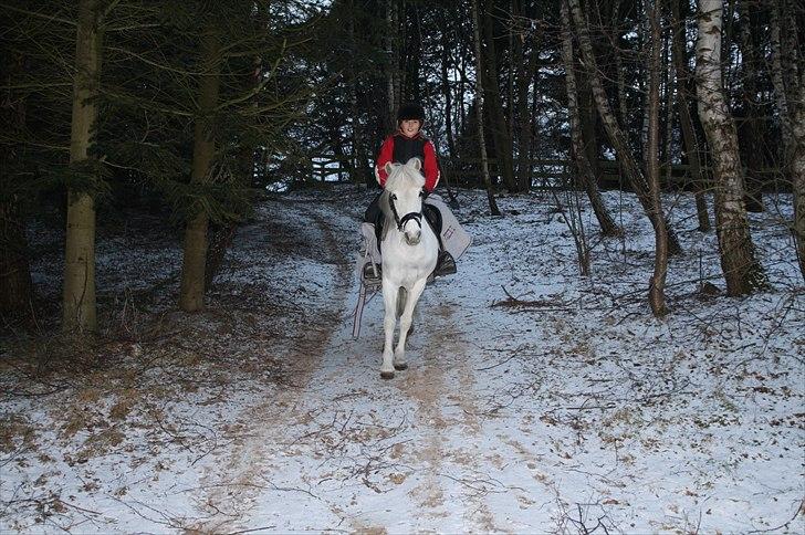 Lysthøjgård<3 billede 16