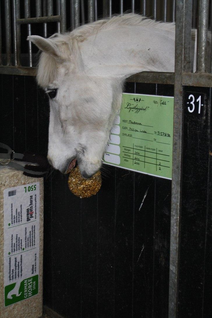 Lysthøjgård<3 billede 24